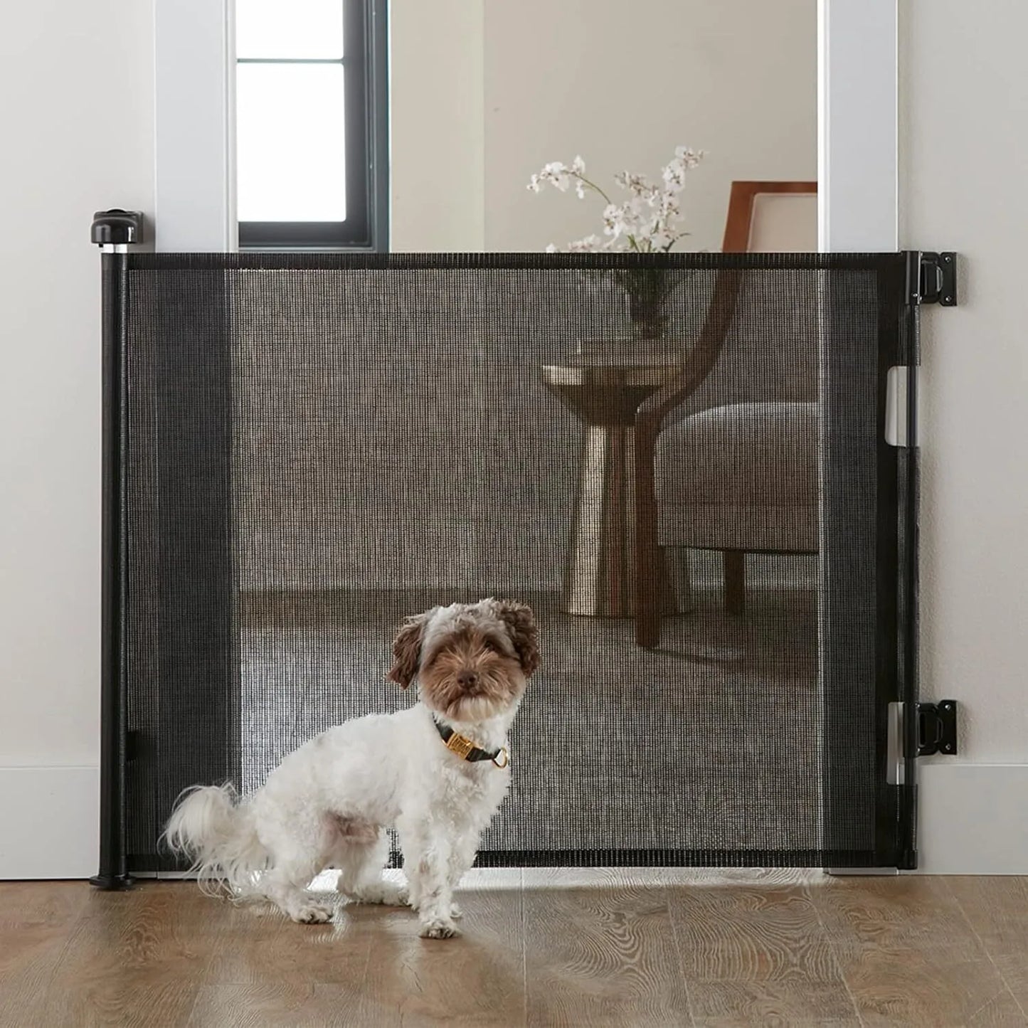 Retractable Baby Gate