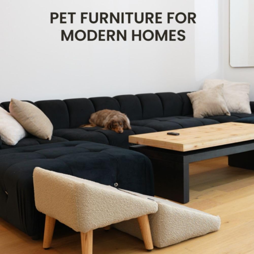 All-in-one dog ramp for small dogs, older dogs, older cats and large pets to climb onto the bed and sofa.