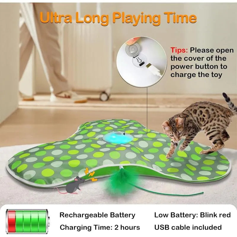 Rechargeable Interactive Cat Toys